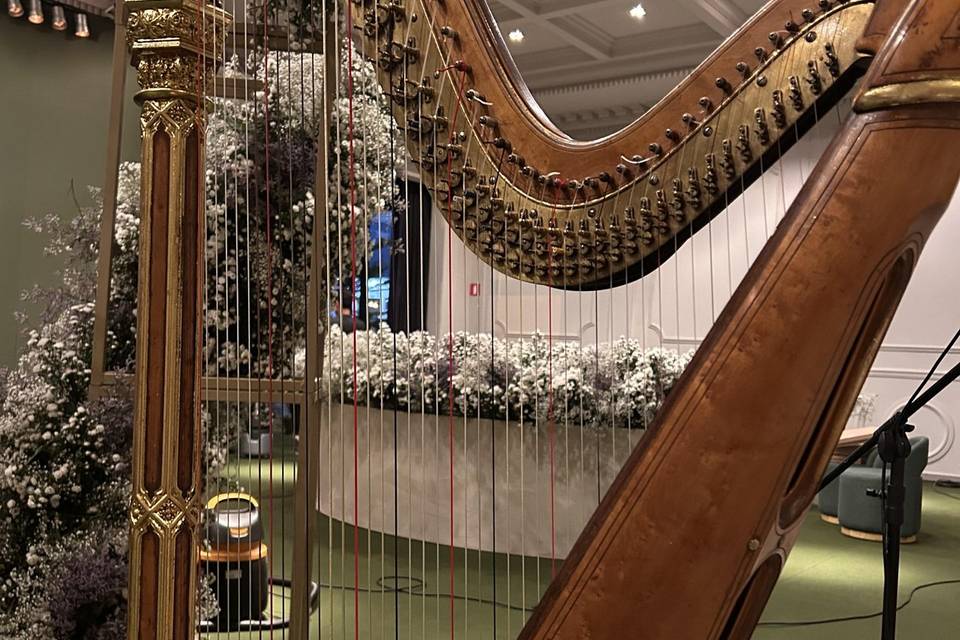 Elegancia em Música