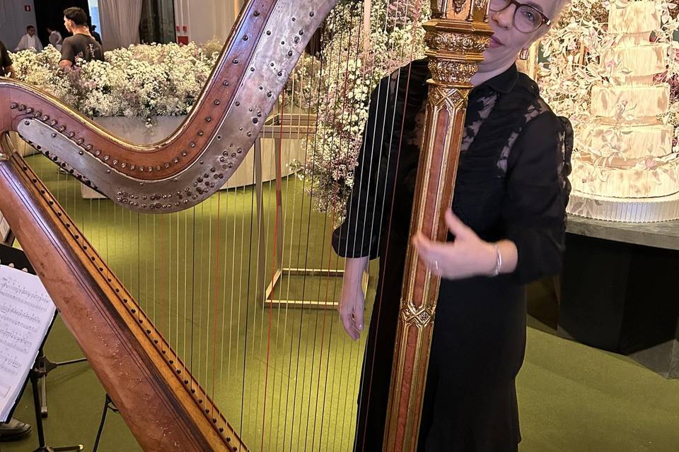 Melhor Harpista de Eventos