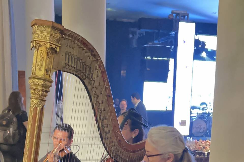 Harpa e Cordas Felix Petrolli