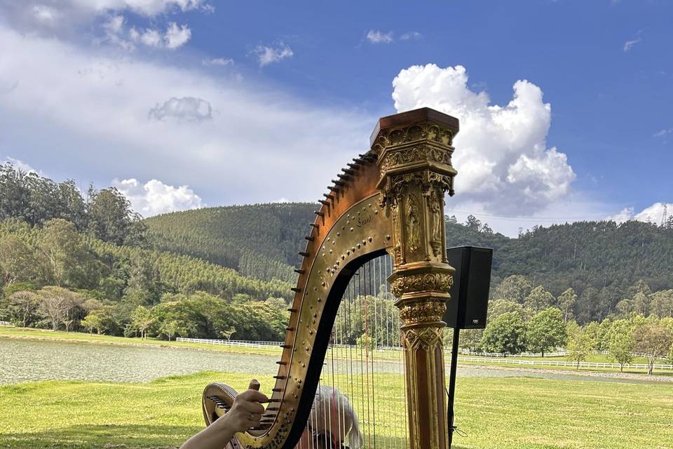 Harpa no Lago