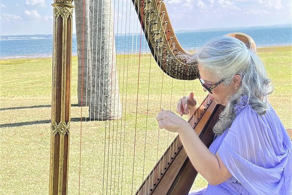 Harpa Solo