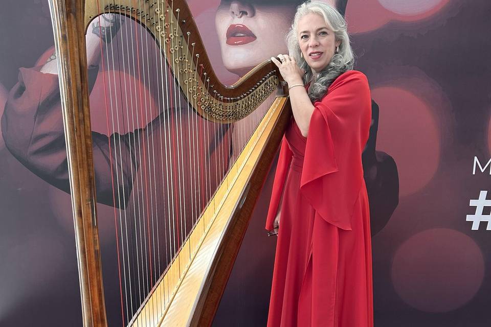 Evento corporativo com Harpa