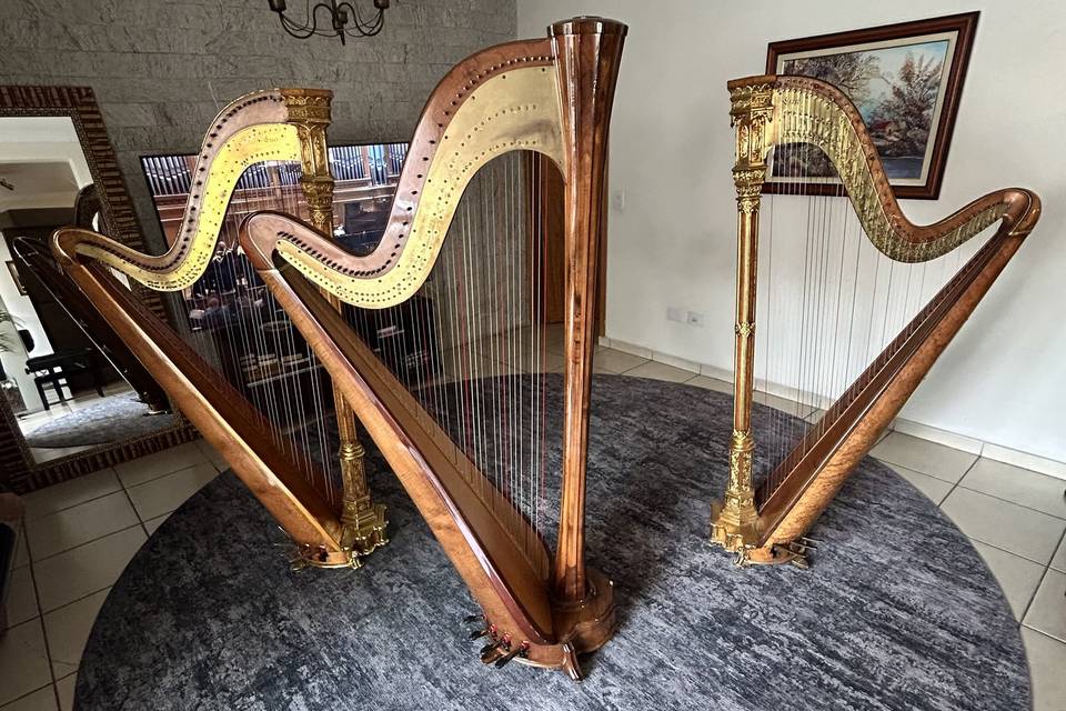 Harpas para Eventos