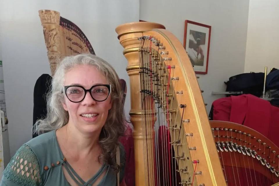 Harpa em Lyon - França