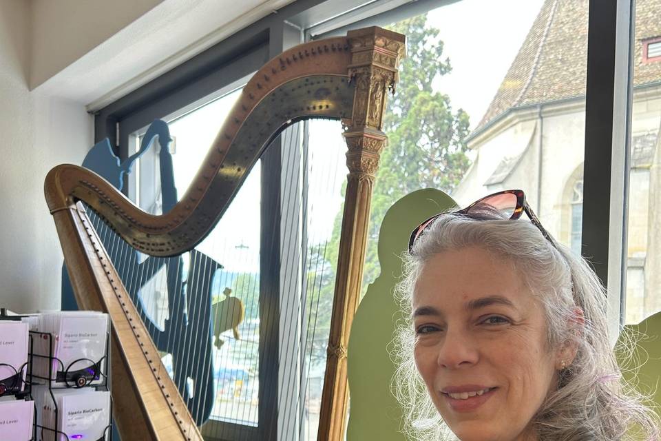 Harpa em Zurique