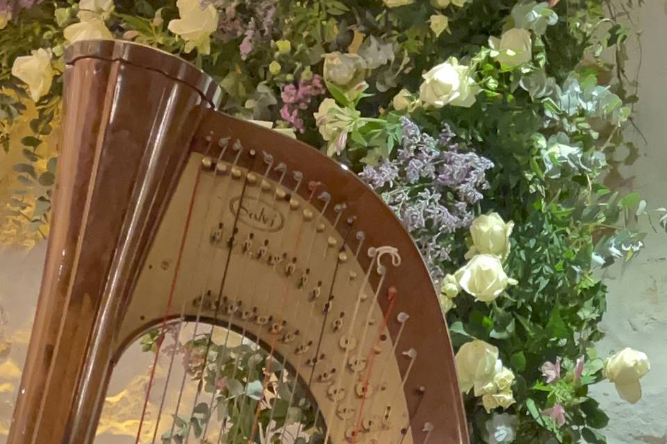 Casamento Com Harpa Solo