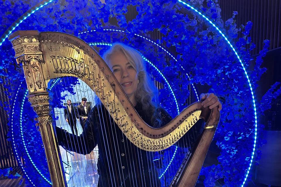 Harpa Festa de 15 anos