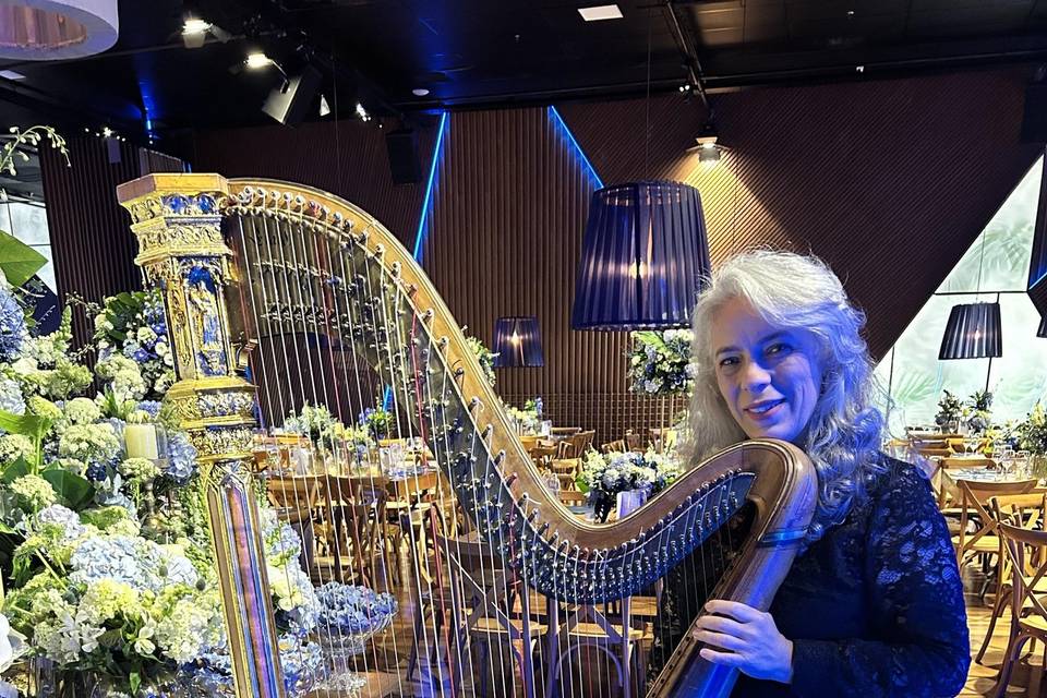 Harpa no Boulevard