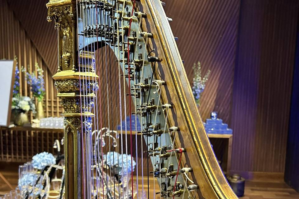 Recepção com Harpa