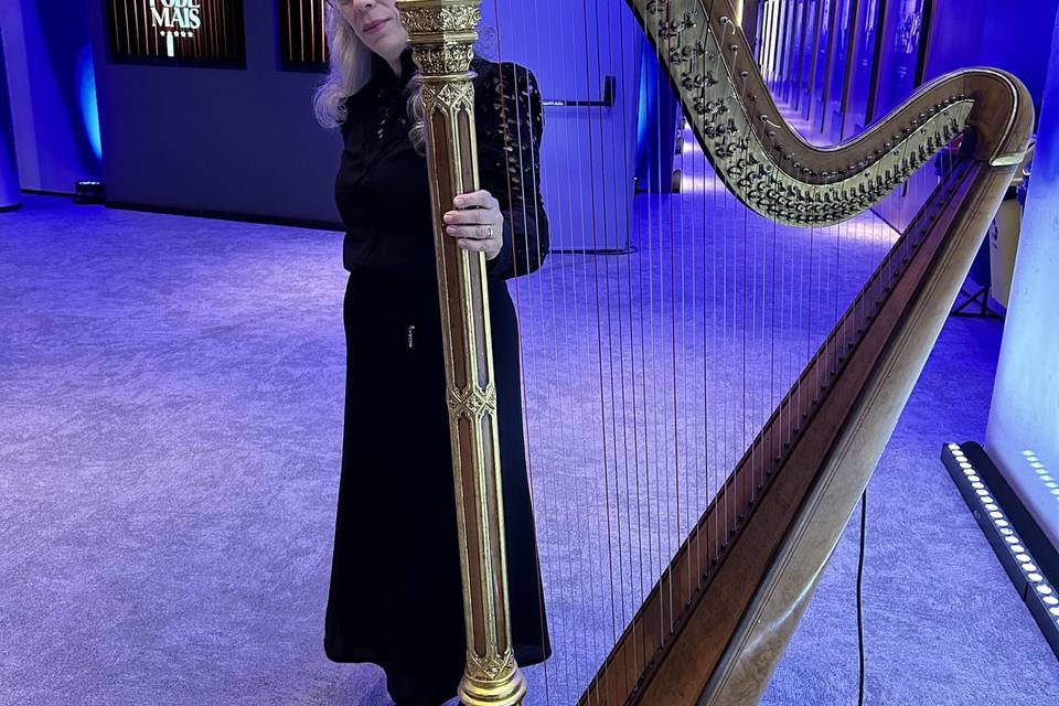 Evento com Harpa
