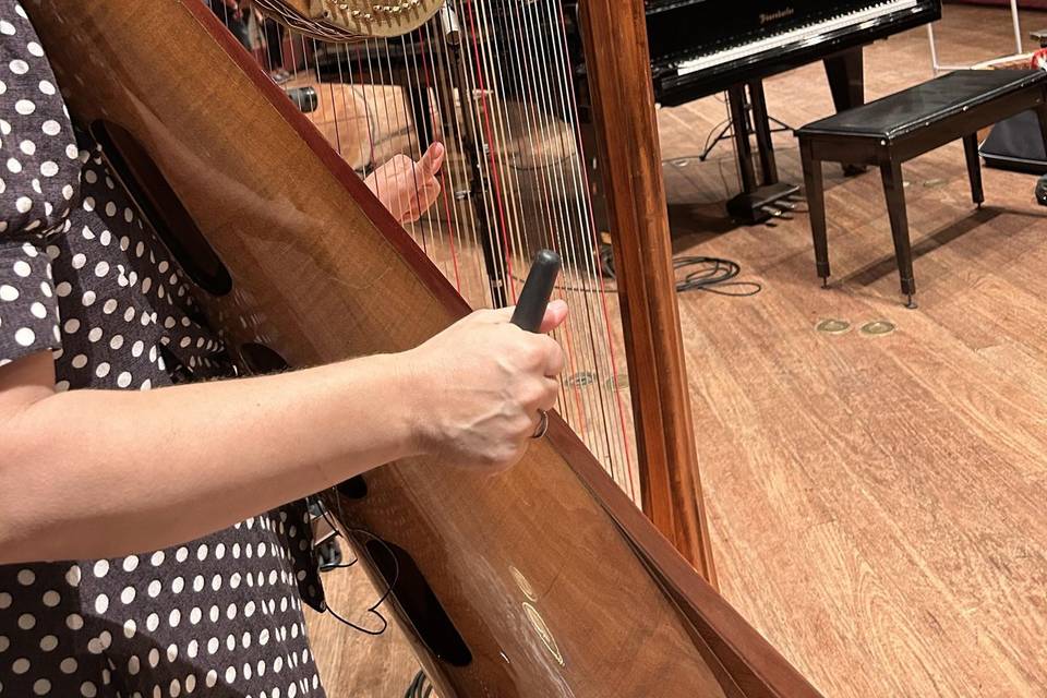 Harpa em São Paulo