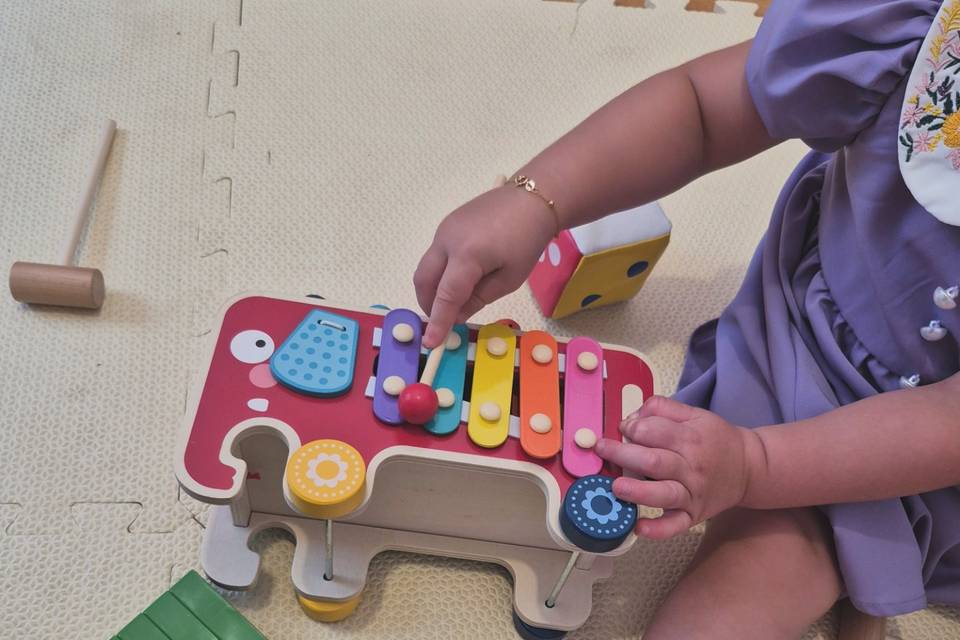 Brinquedos incriveis