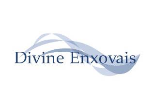 Divine Enxovais logotipo