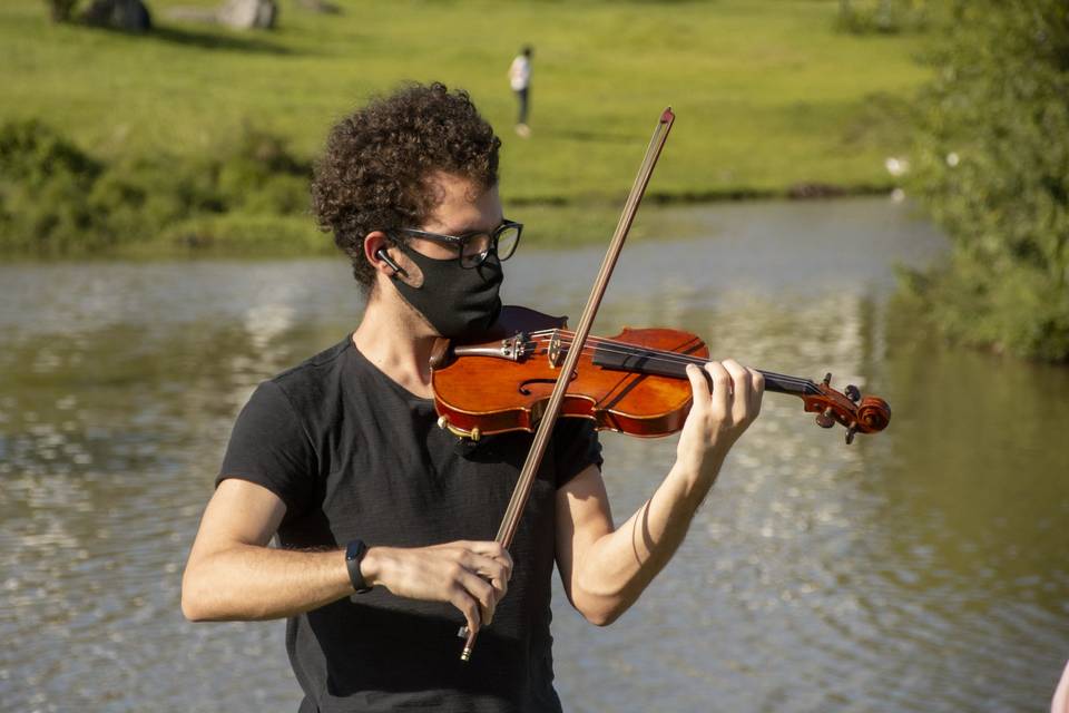 Violino