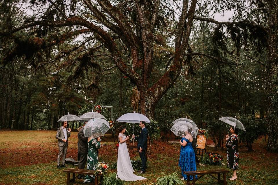 Elopement na chuva