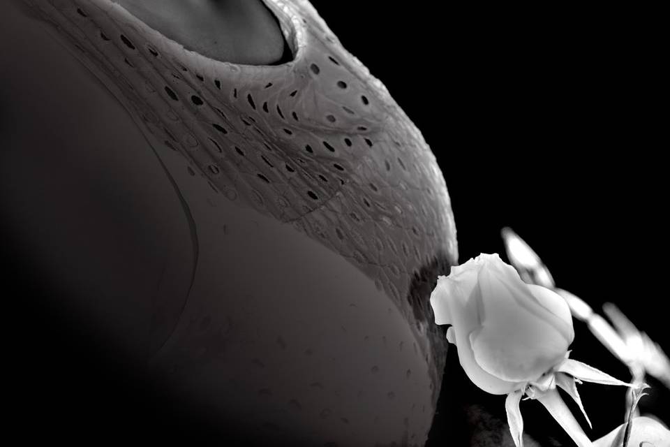 Casamento ao ar livre