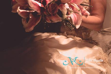 Fotógrafo casamento