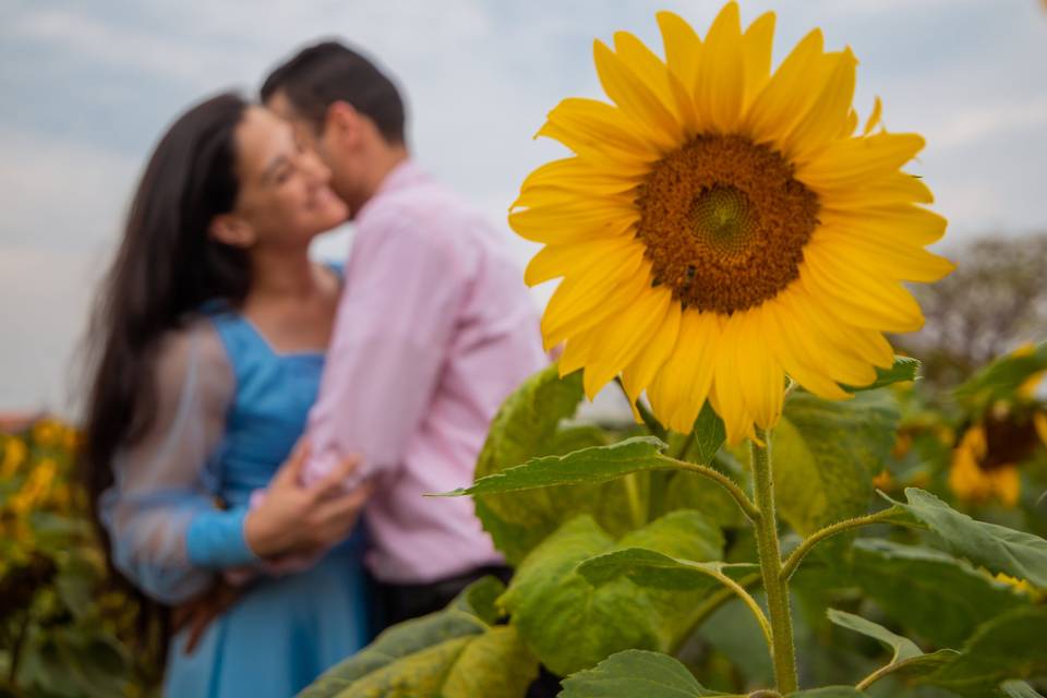 Pré Wedding Malu & Rodrigo