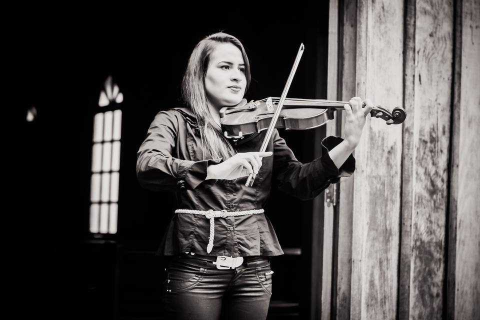 Violino