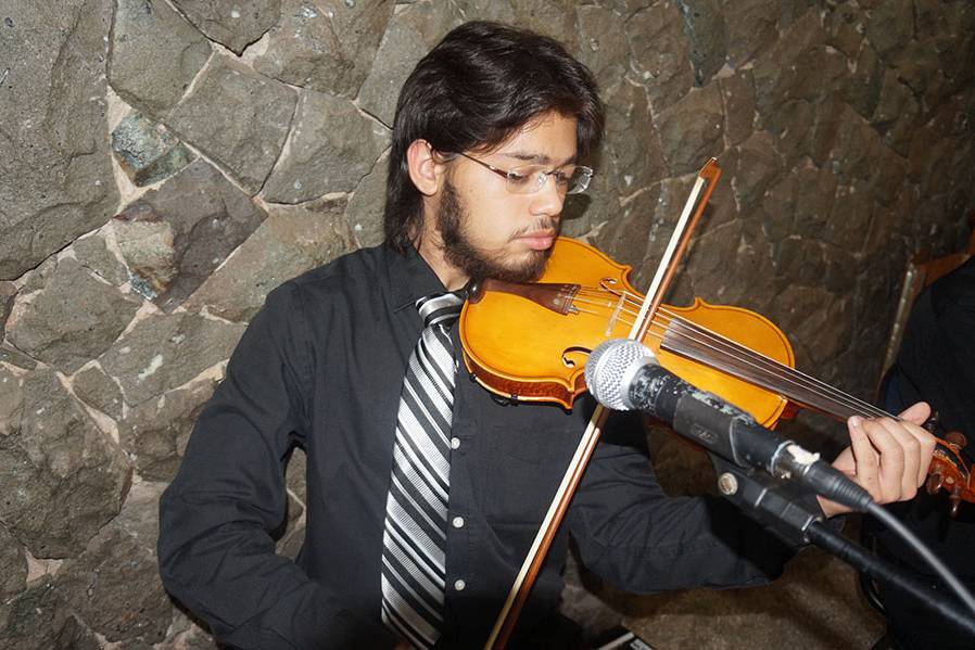 Violino