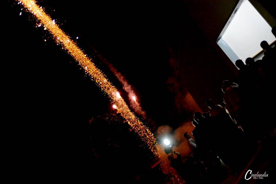 Shows
