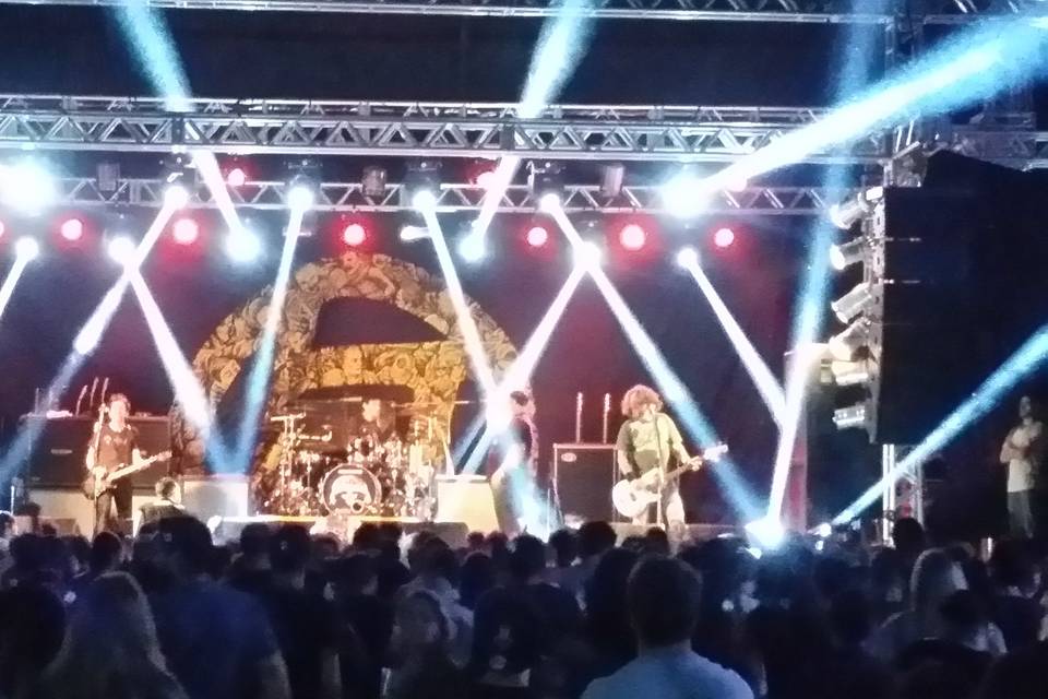 Shows