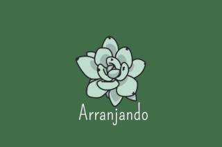 Arranjando logo