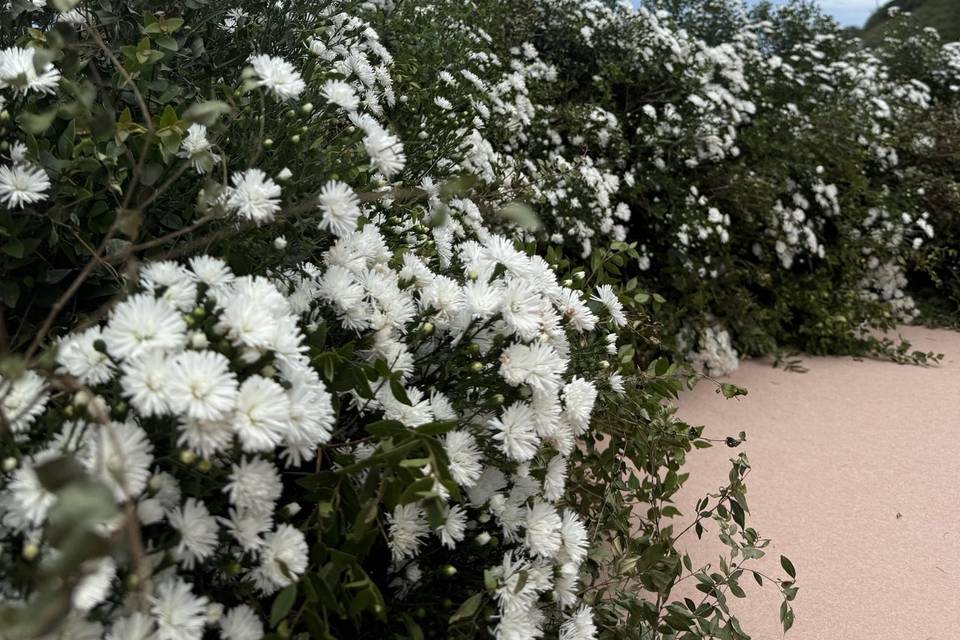Arranjo da cerimônia