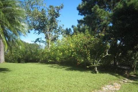 Area verde