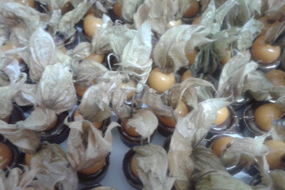 Physalis