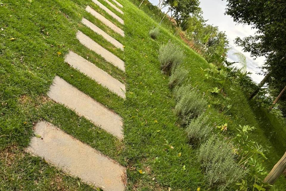 Fazenda Raizes