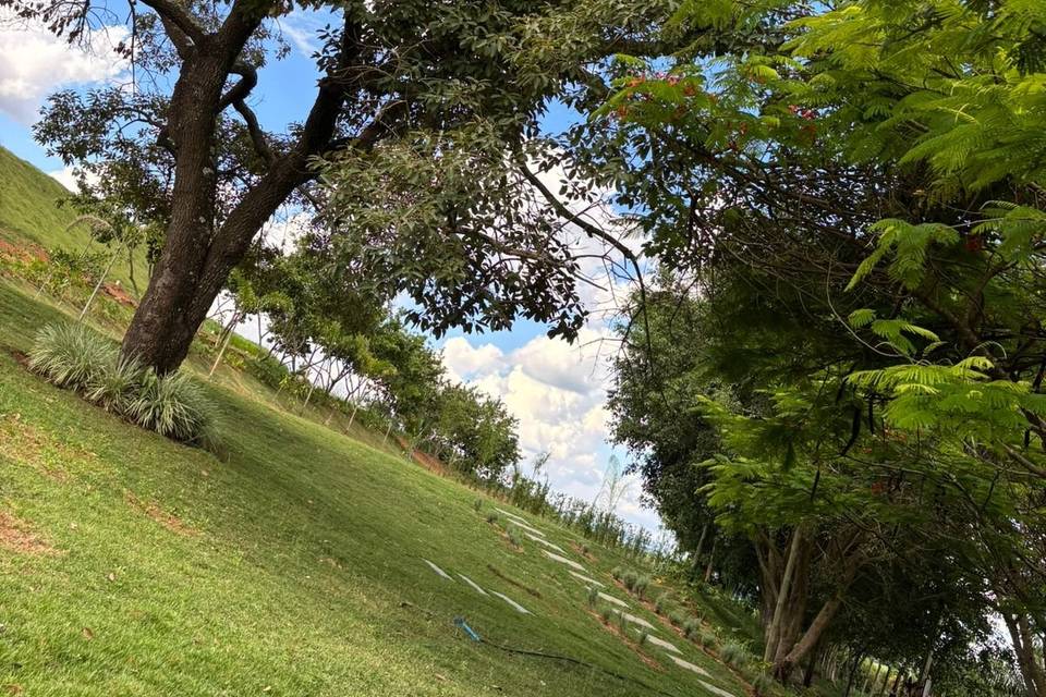 Fazenda Raizes