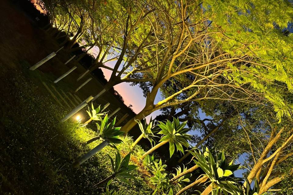 Fazenda Raizes