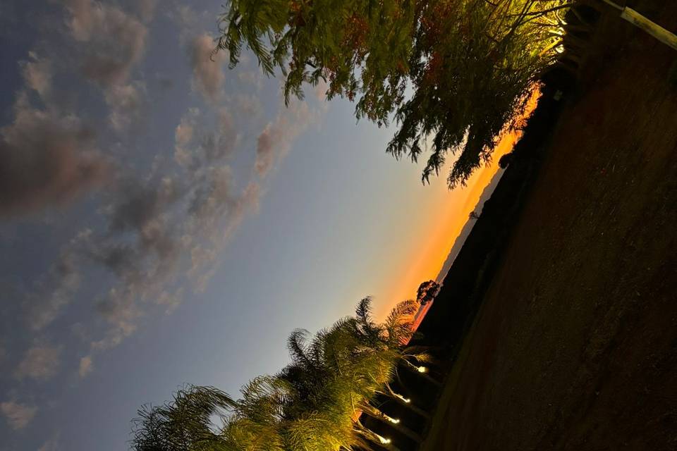 Fazenda Raizes