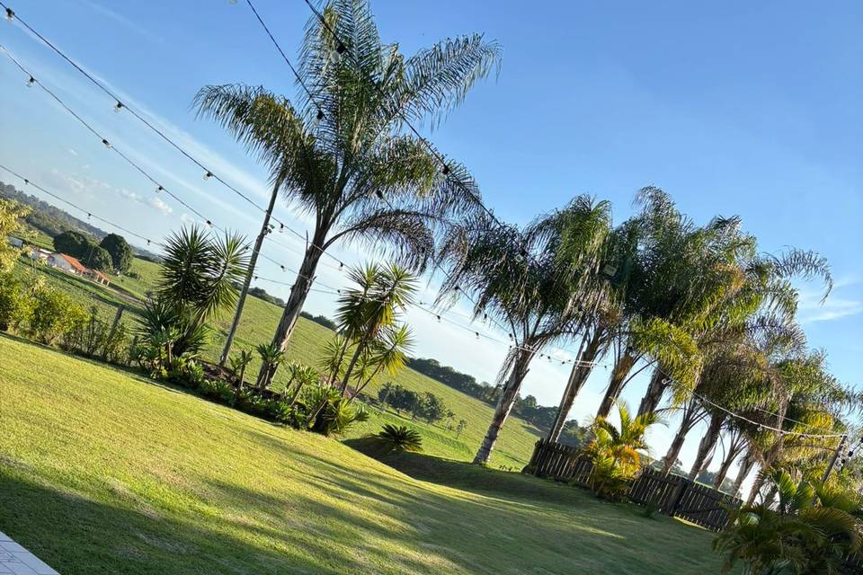 Fazenda Raizes