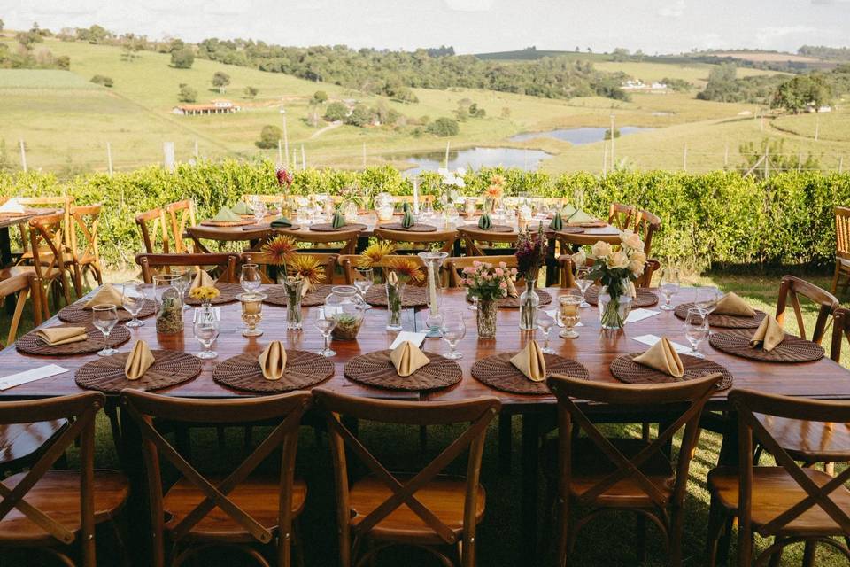 Fazenda Raizes