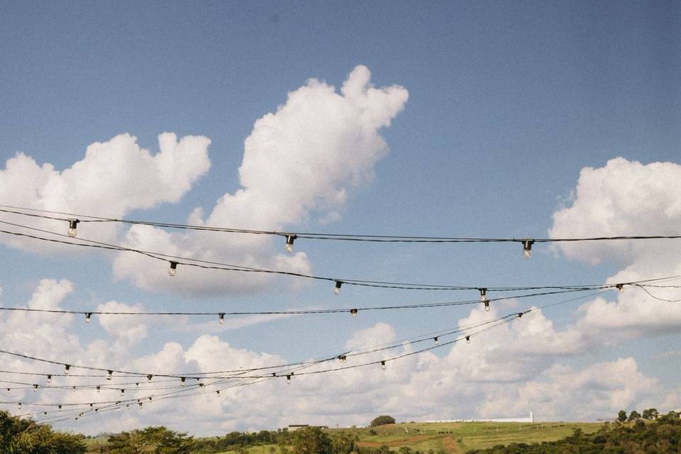 Fazenda Raizes