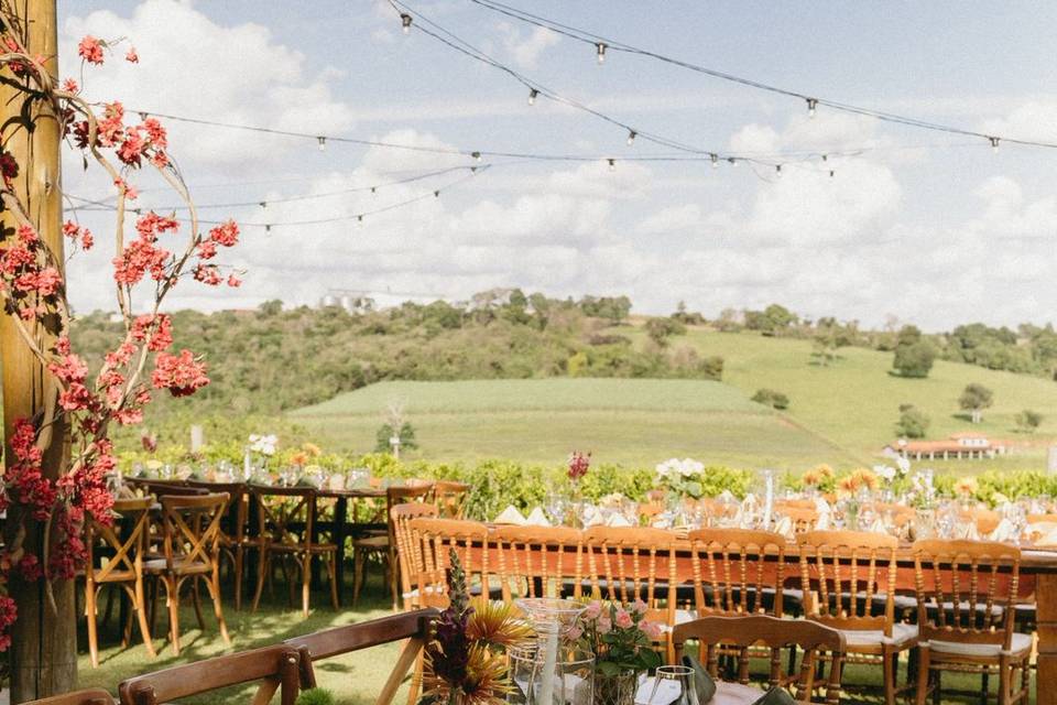 Fazenda Raizes