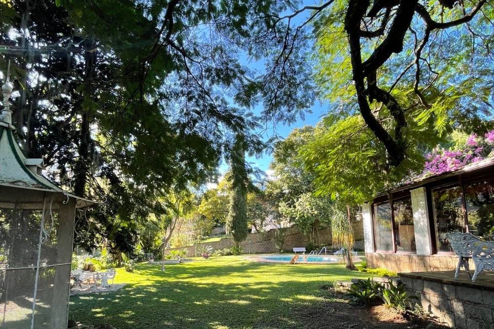 Jardim