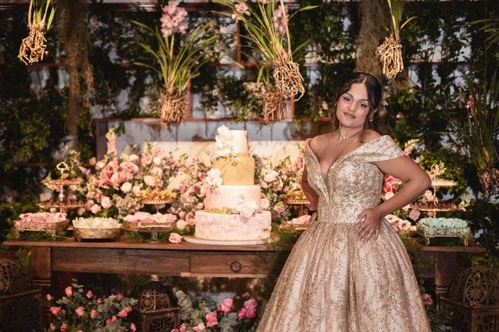Festa 15 anos