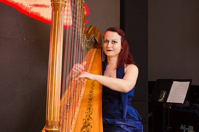 Apresentação Ao Vivo