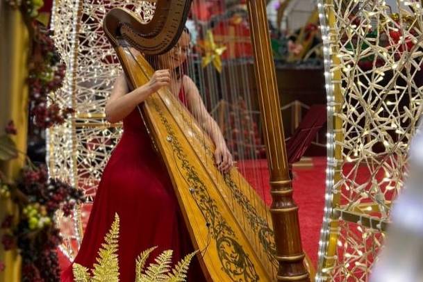 Elegância em Harpa