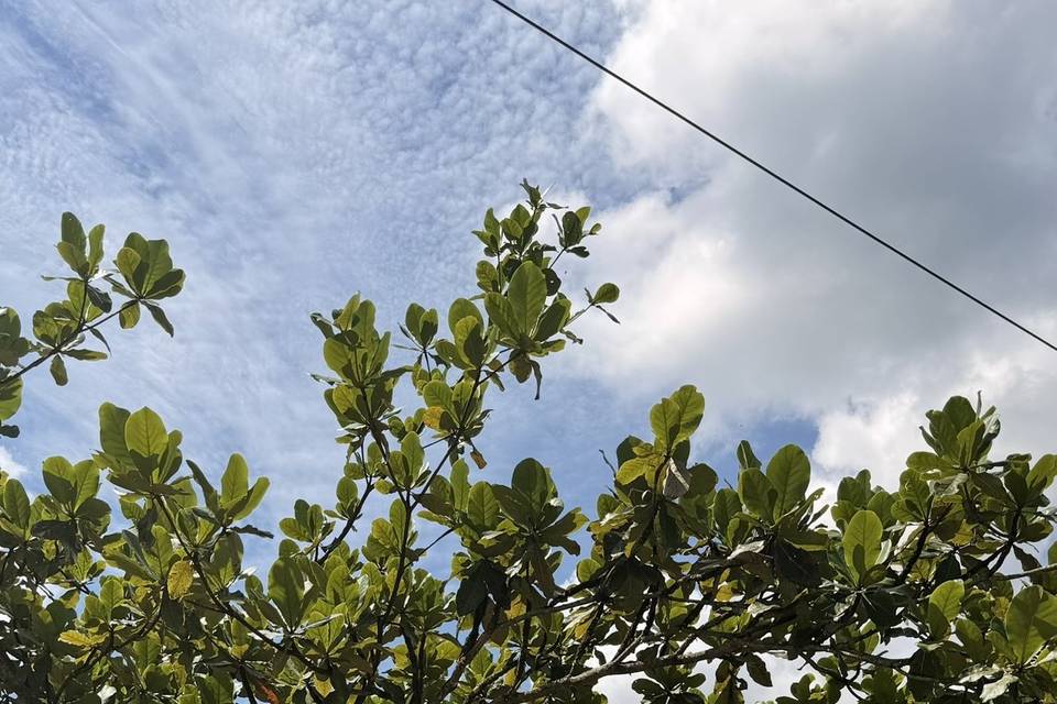Espaço