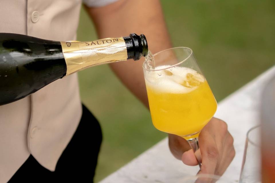 Mimosa