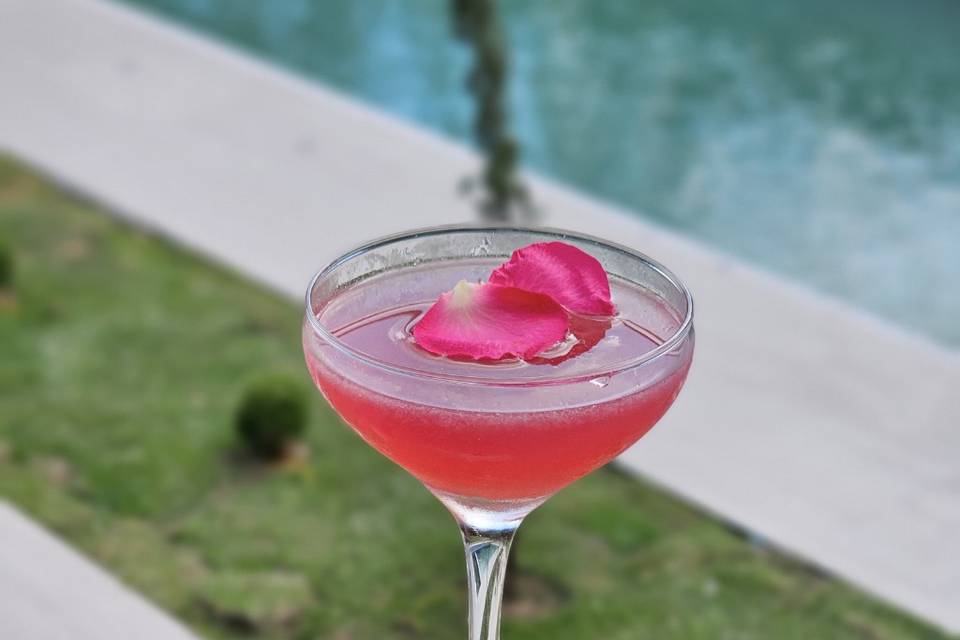 Drink autoral (flor)