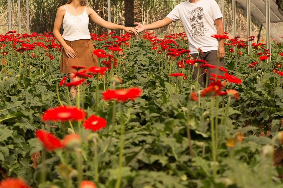 Ensaio Romantico