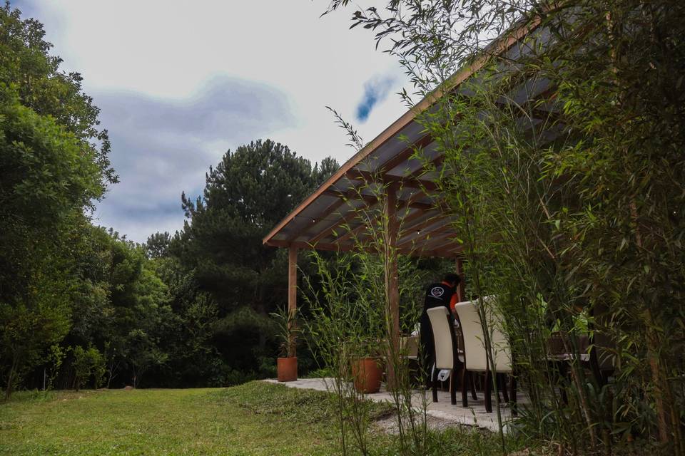 Araucá