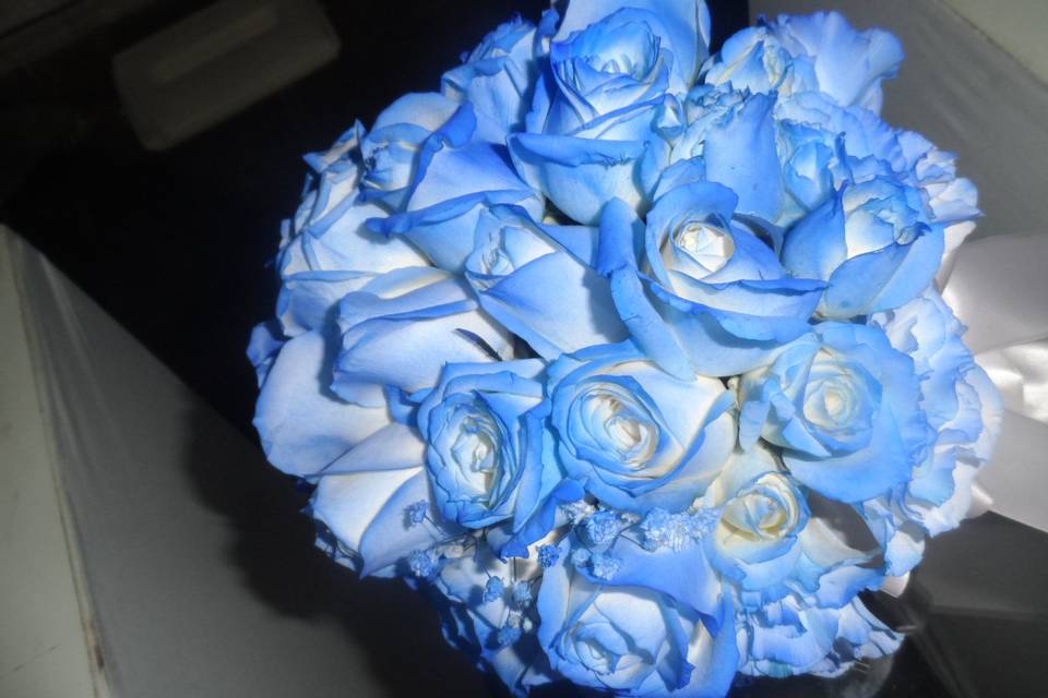 Rosas azuis