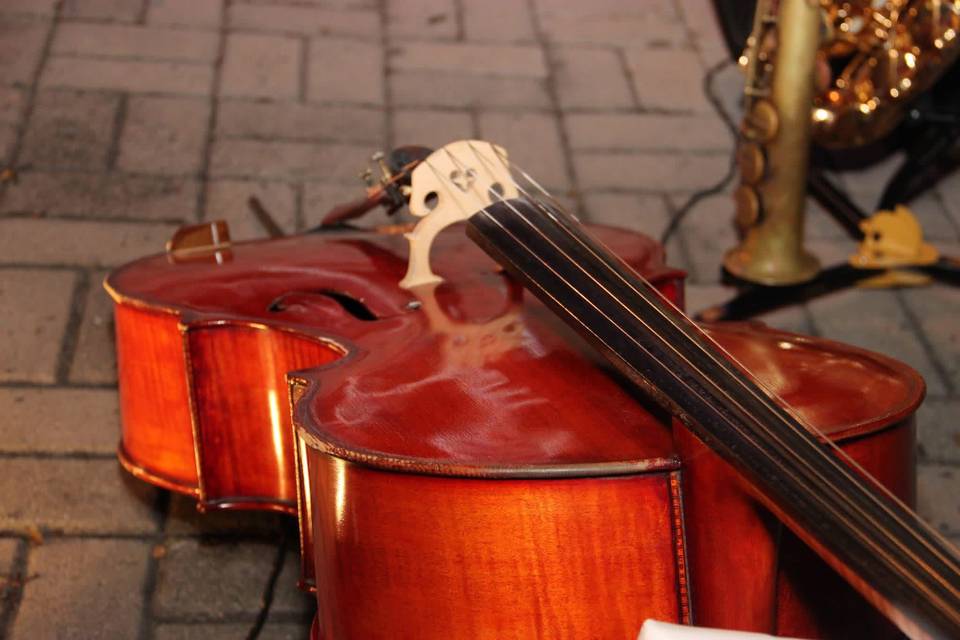 Violoncelo