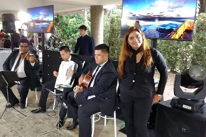 Banda recepção